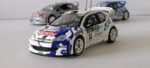 Peugeot 206 WRC Esso