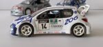 Peugeot 206 WRC Esso